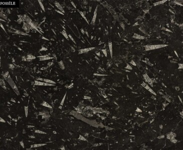 granit-nero-fossile granit-nero-fossile
